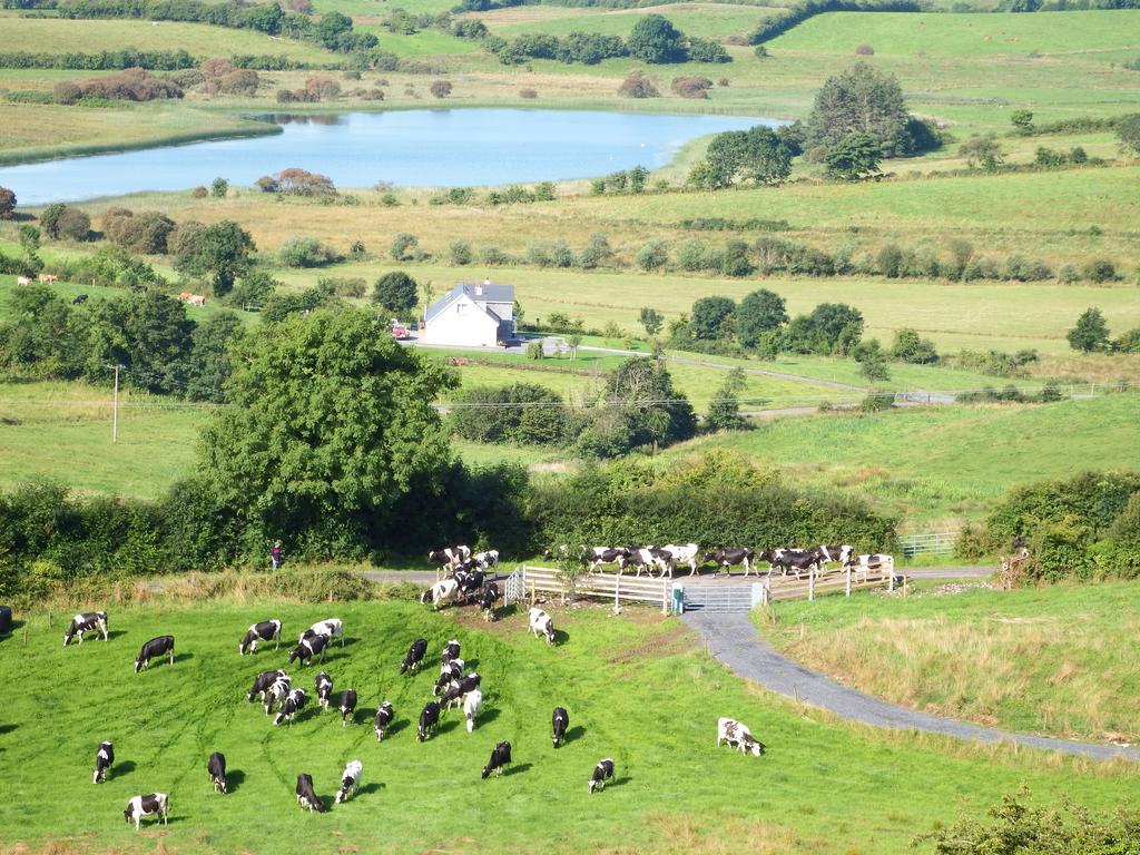 Hotel Coach House Sligo